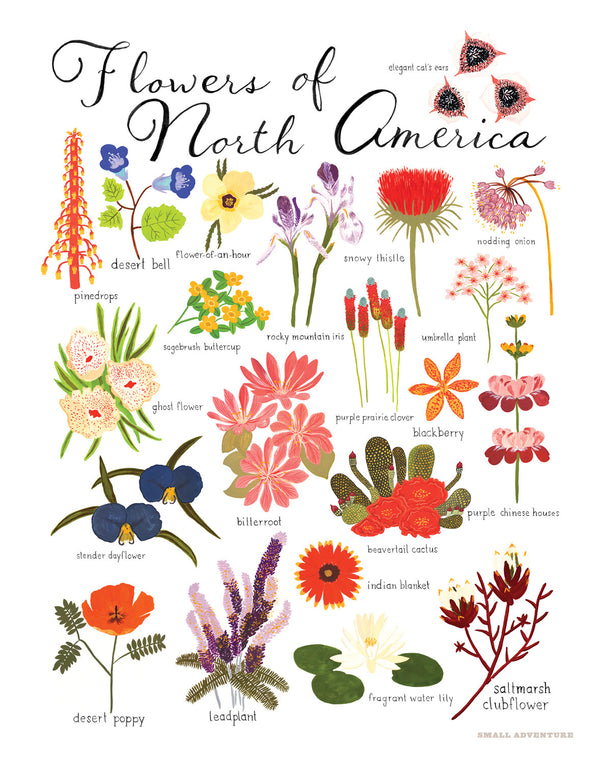 Flowers in the United States